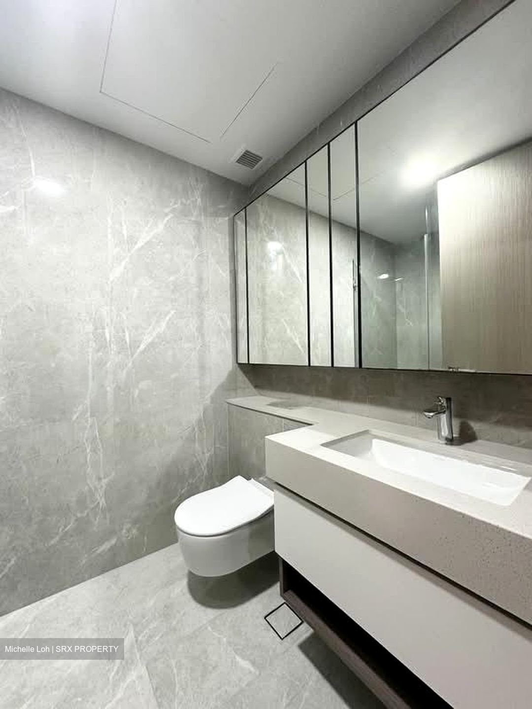 Dairy Farm Residences (D23), Apartment #532252231